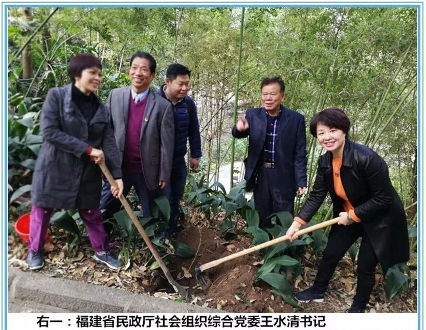 我会参加“3.12”全民义务植树活动(图3)