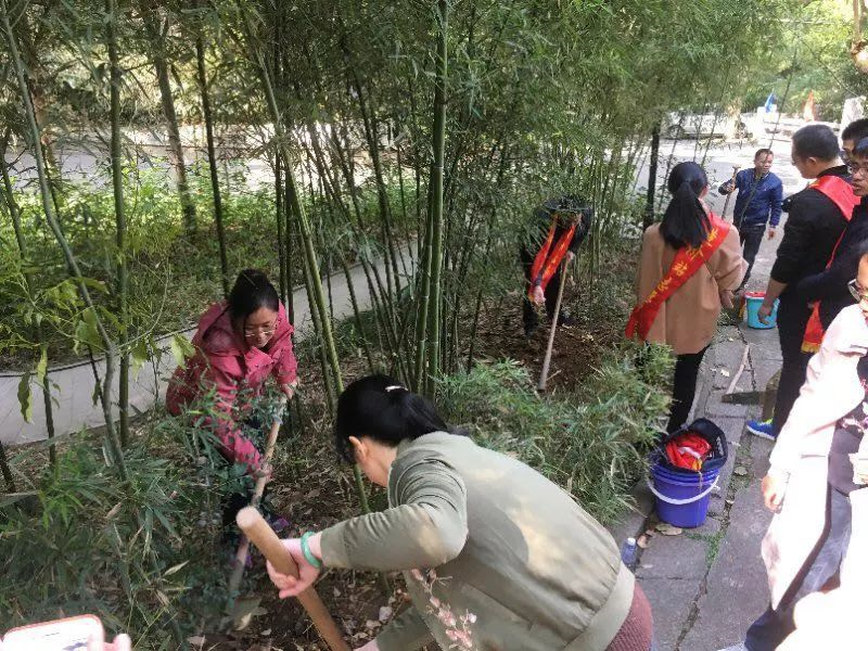 我会参加“3.12”全民义务植树活动(图5)